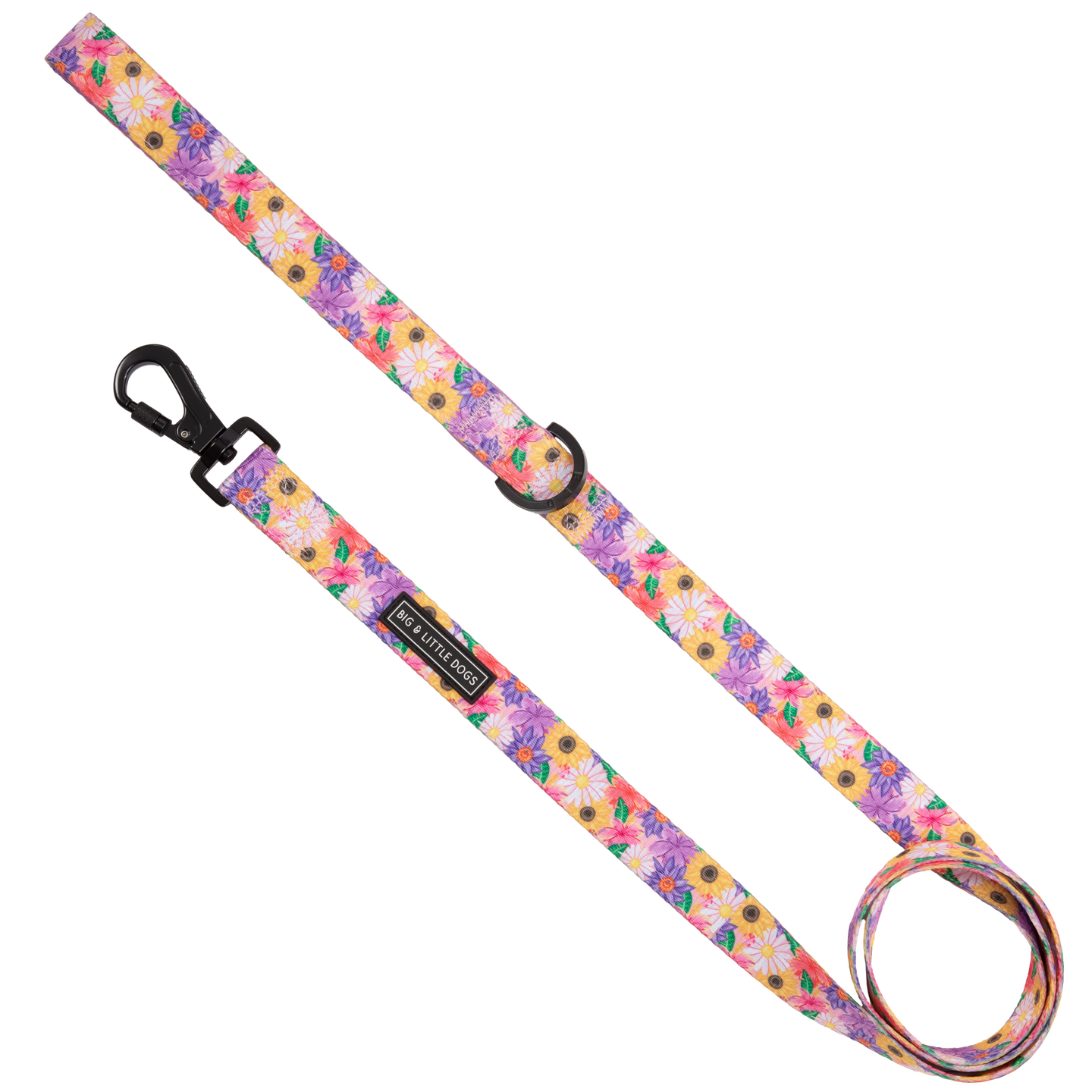 DOG LEASH: Spring Fling