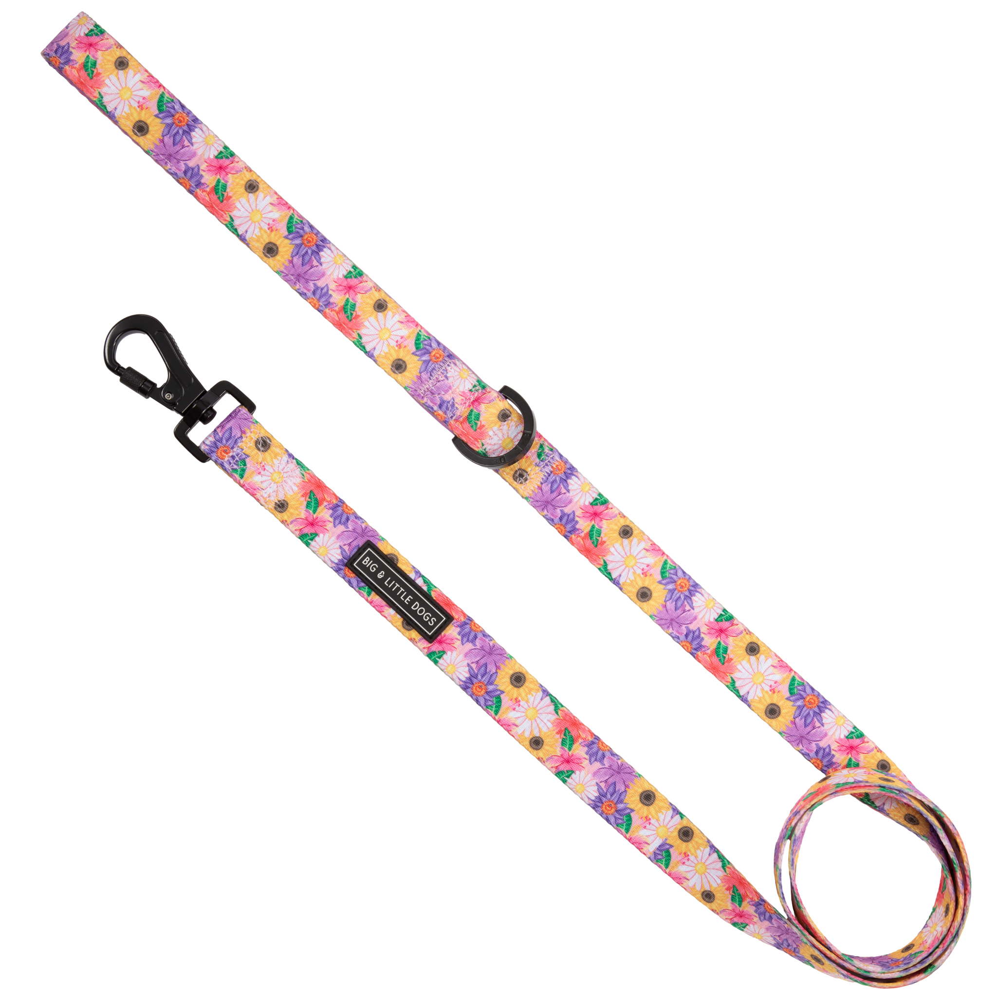 DOG LEASH: Spring Fling