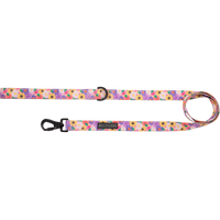DOG LEASH: Spring Fling