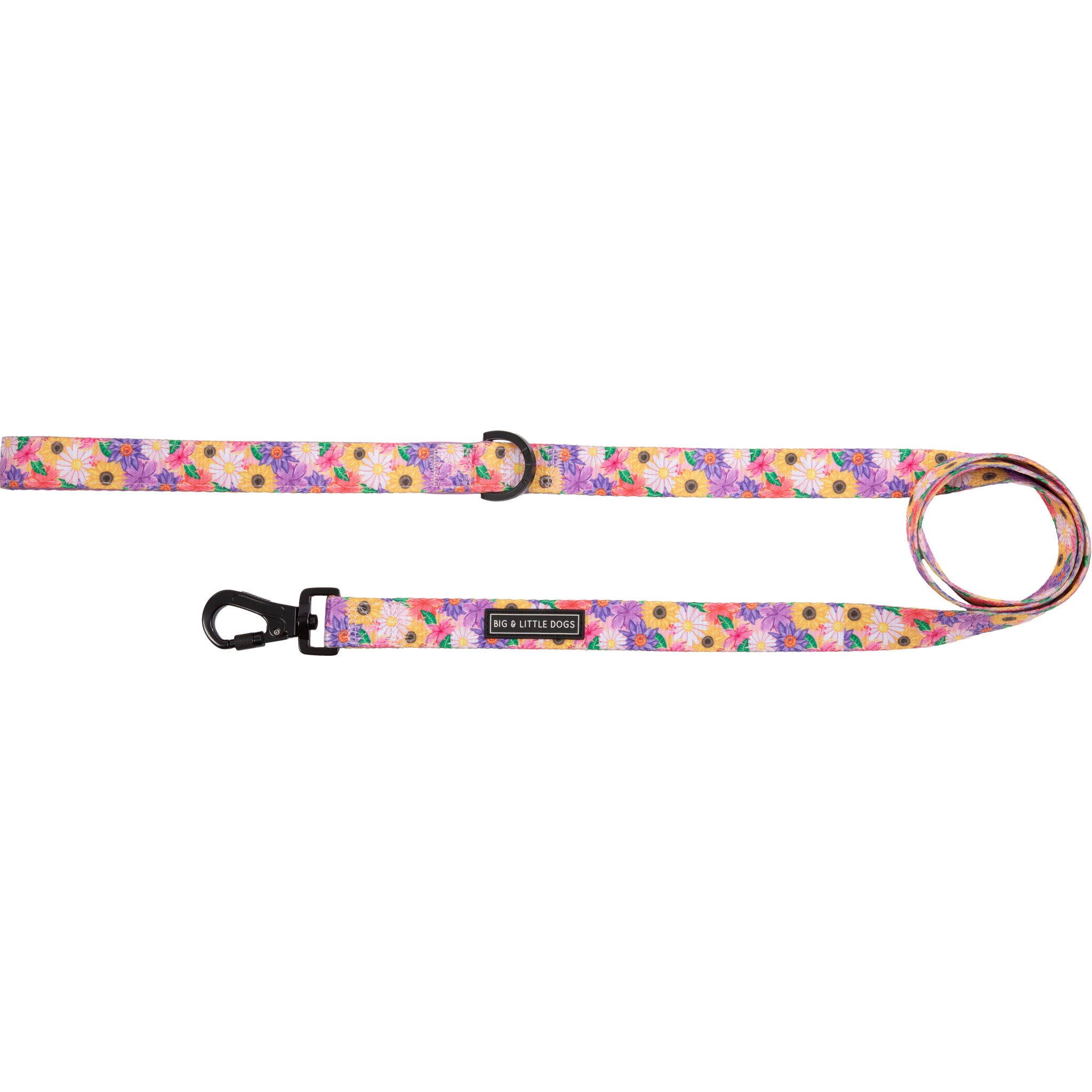 DOG LEASH: Spring Fling
