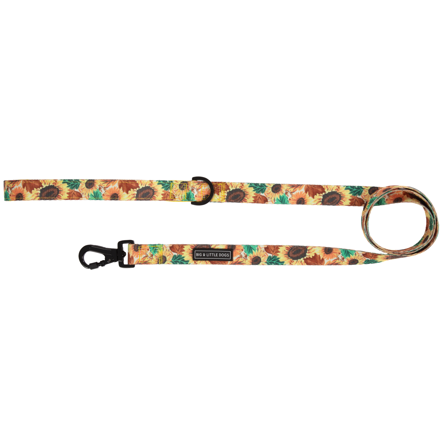 DOG LEASH: Winter Blooms {FINAL SALE}