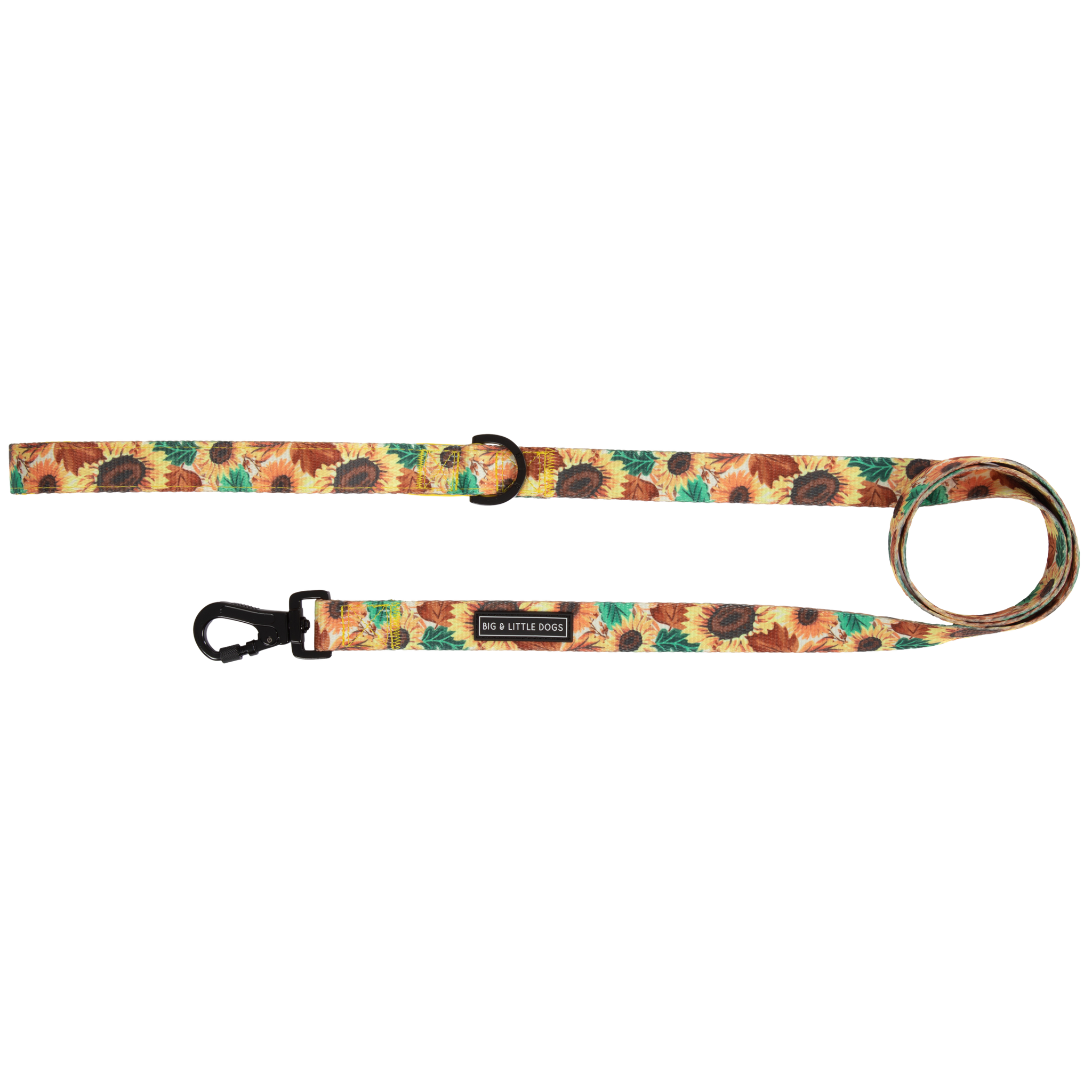 DOG LEASH: Winter Blooms {FINAL SALE}