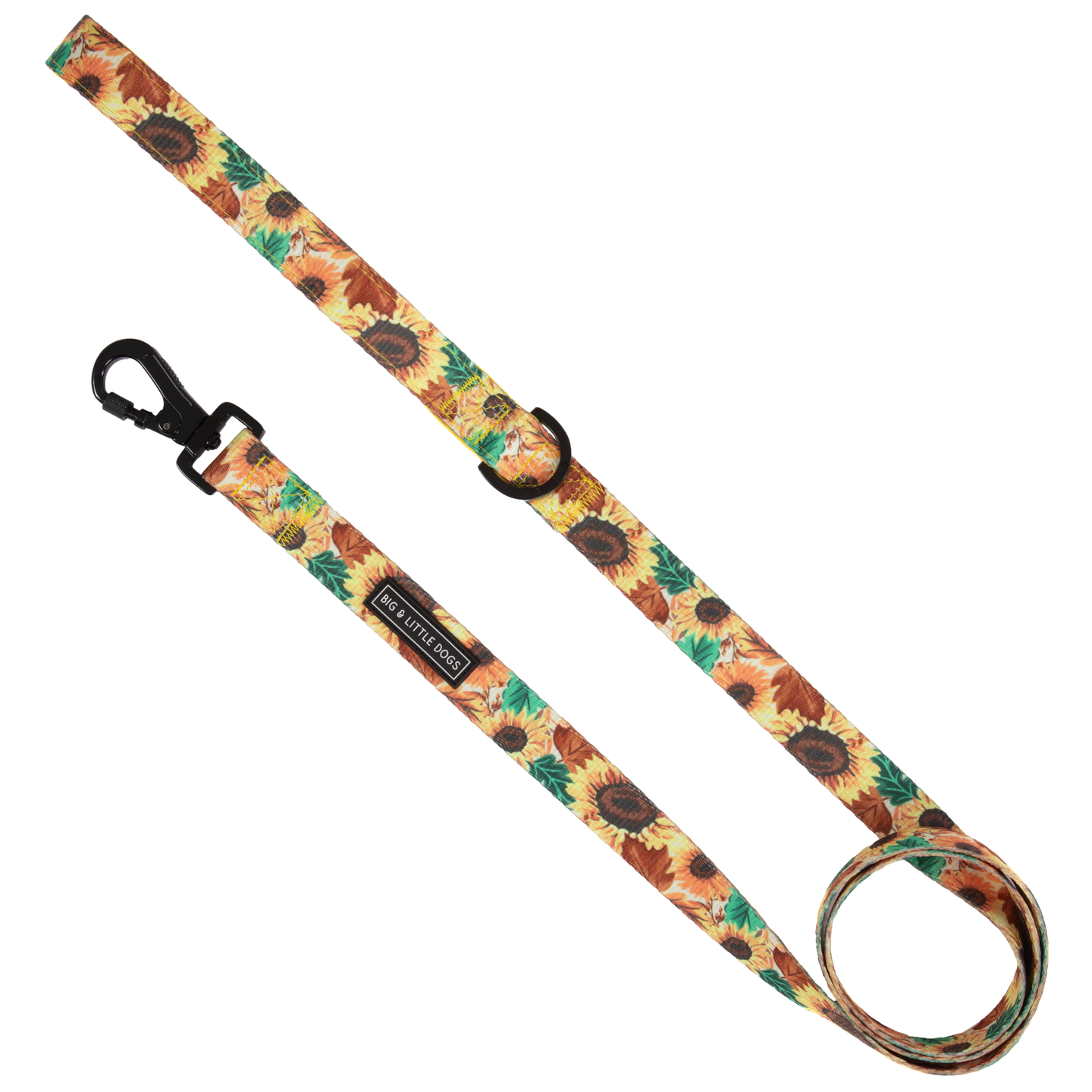 DOG LEASH: Winter Blooms {FINAL SALE}
