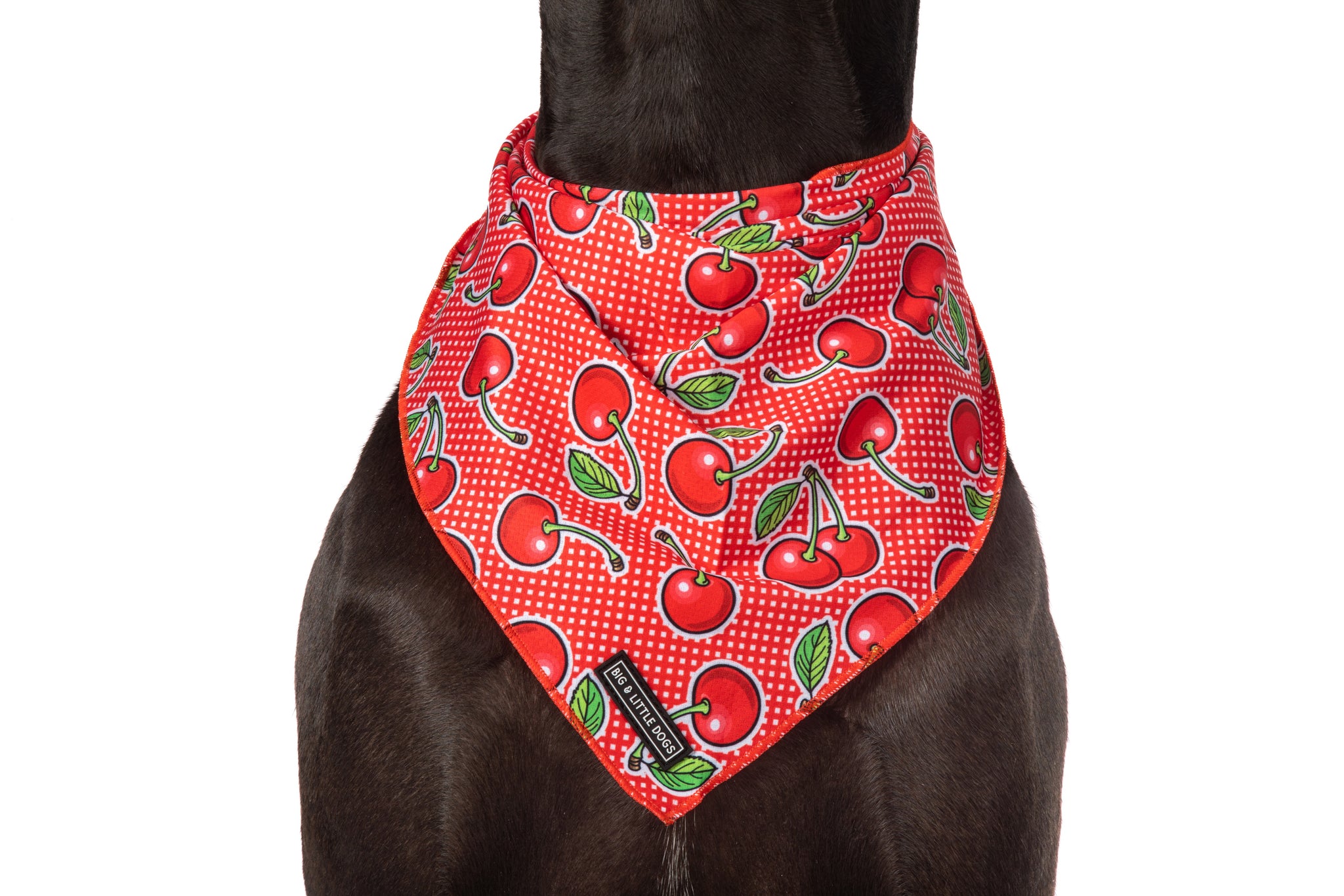 DOG BANDANA: Cherrylicious {FINAL SALE}
