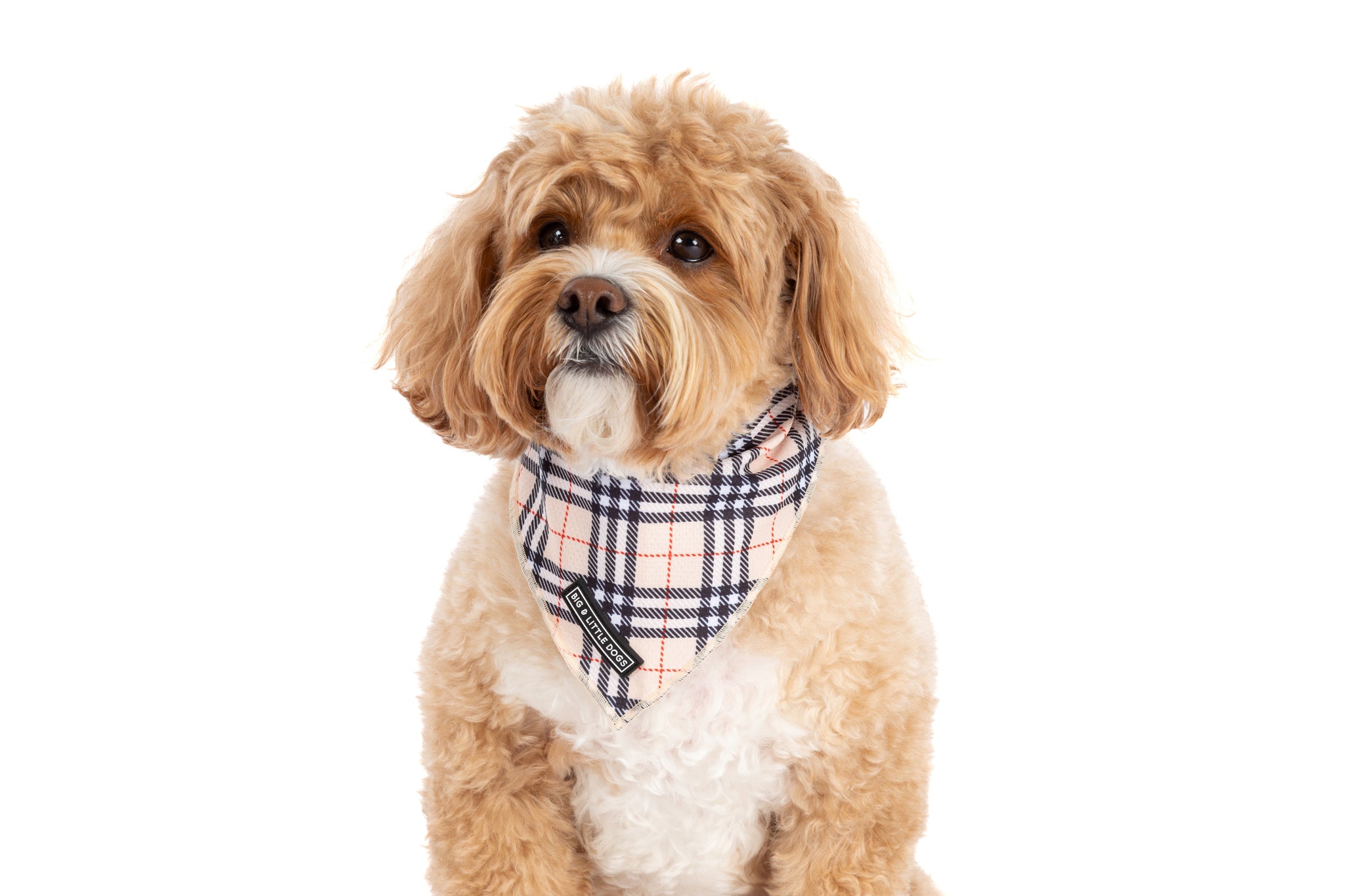 DOG BANDANA: Nova Plaid {FINAL SALE}