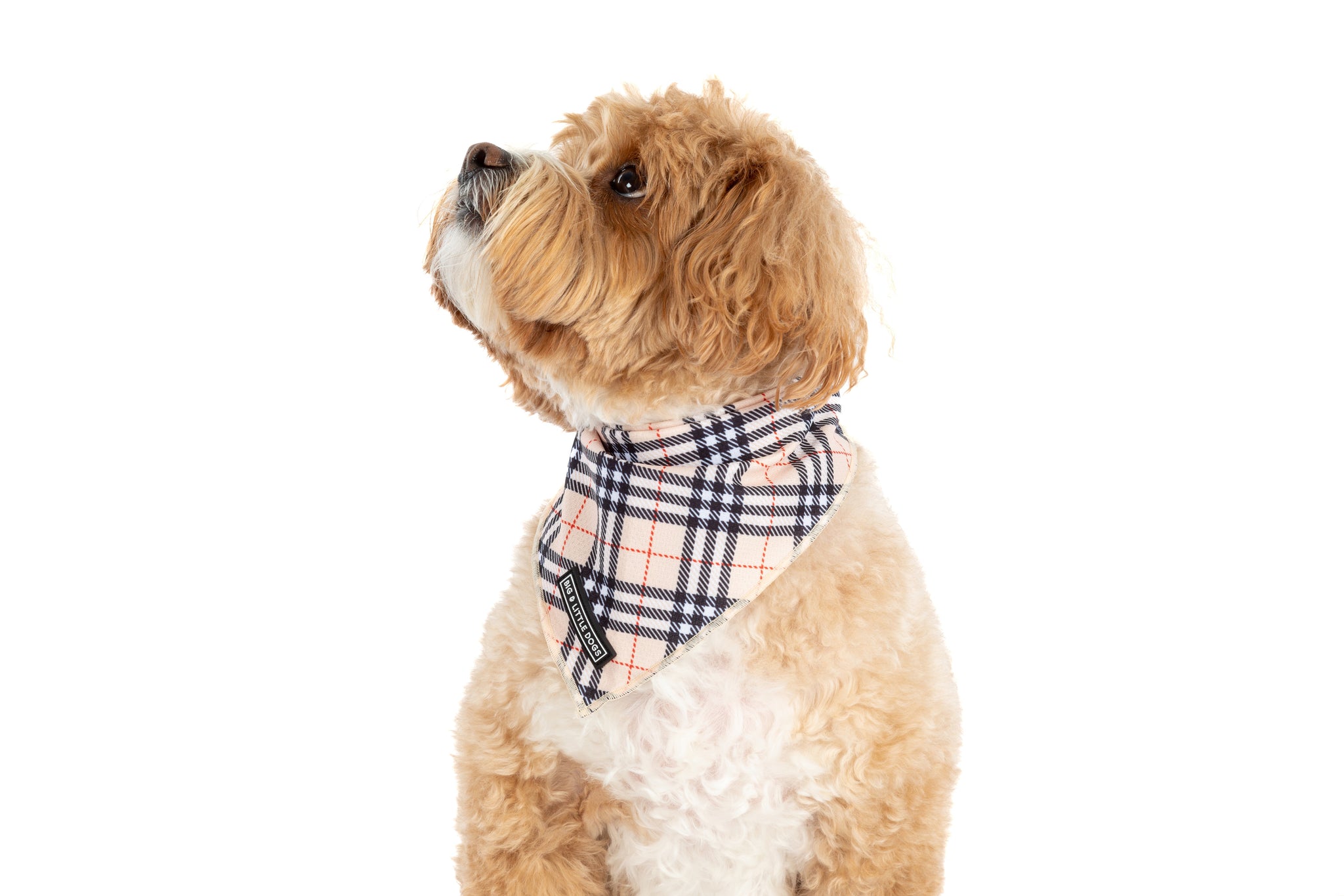 DOG BANDANA: Nova Plaid {FINAL SALE}