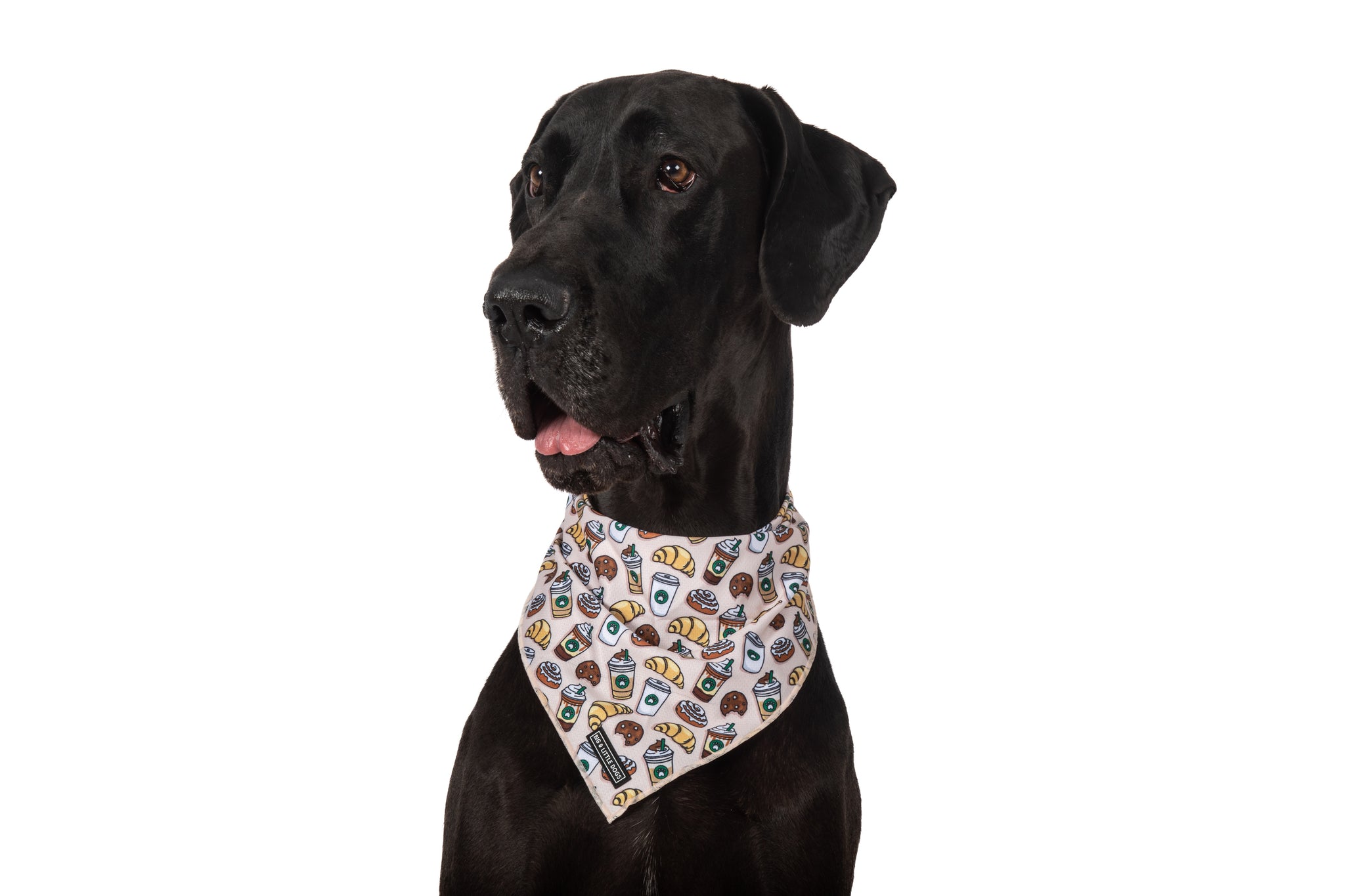 DOG BANDANA: Pupper Cup {FINAL SALE}