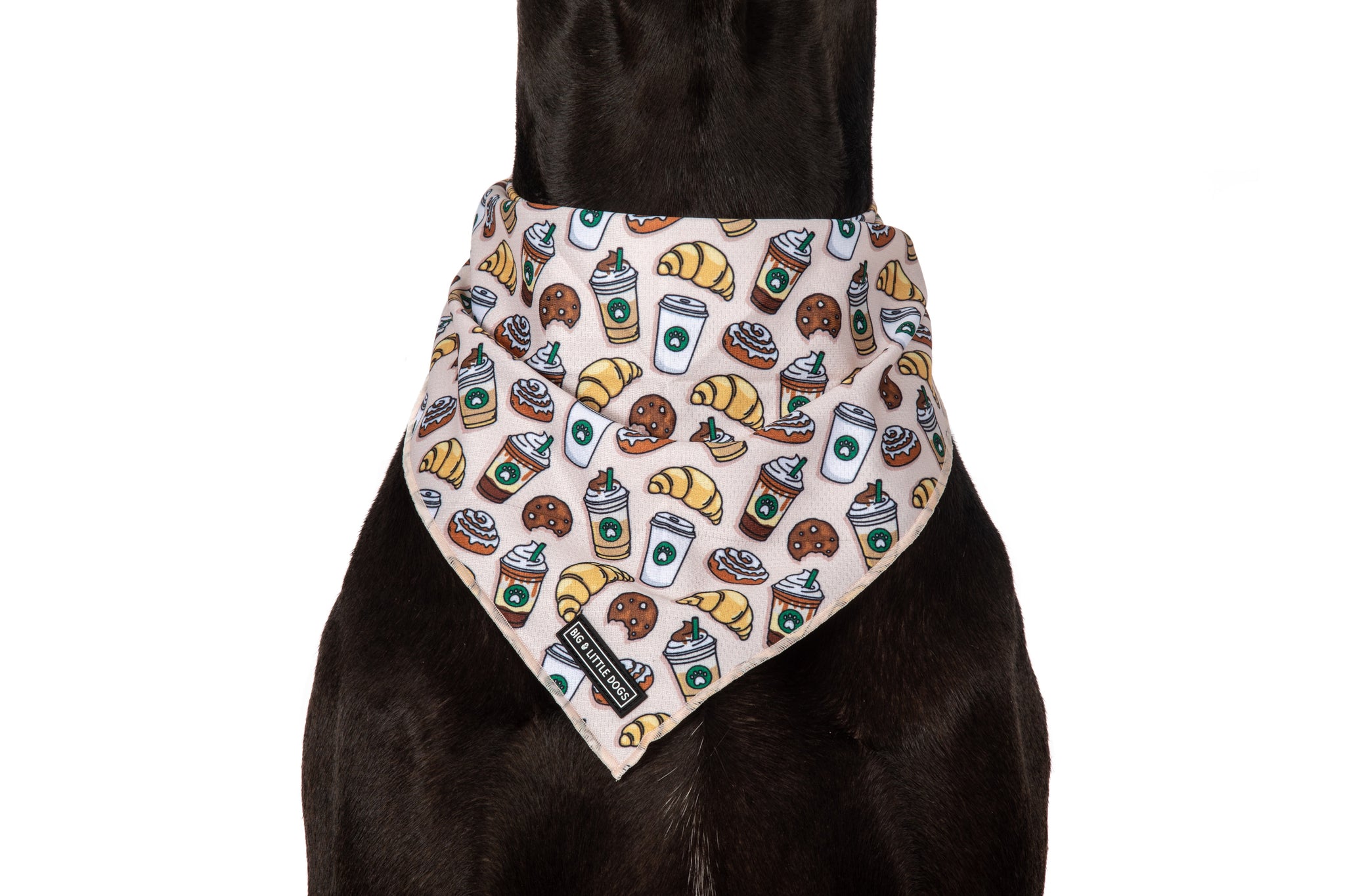 DOG BANDANA: Pupper Cup {FINAL SALE}