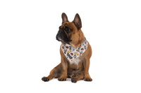 DOG BANDANA: Pupper Cup {FINAL SALE}