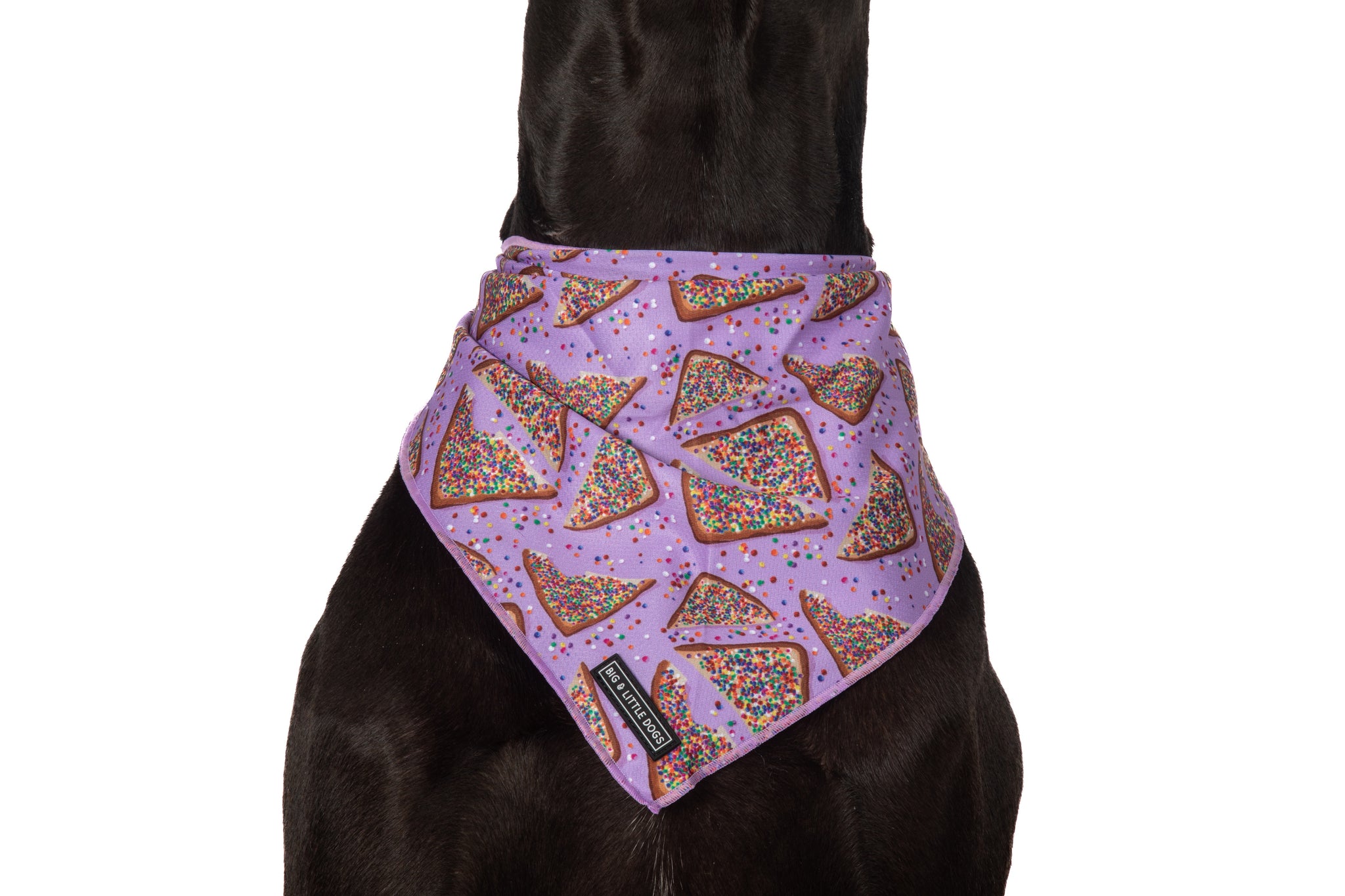 DOG BANDANA: Purple Fairy Bread {FINAL SALE}