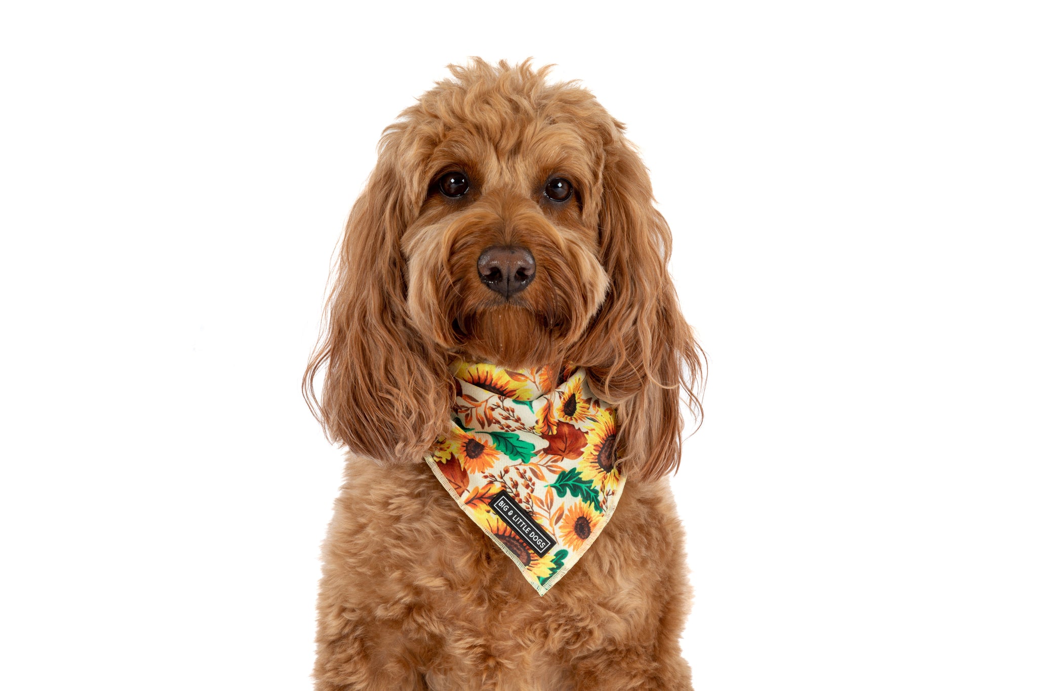 DOG BANDANA: Winter Blooms {FINAL SALE}