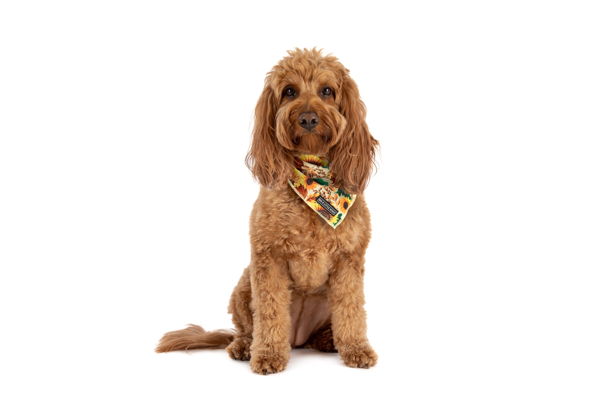 DOG BANDANA: Winter Blooms {FINAL SALE}