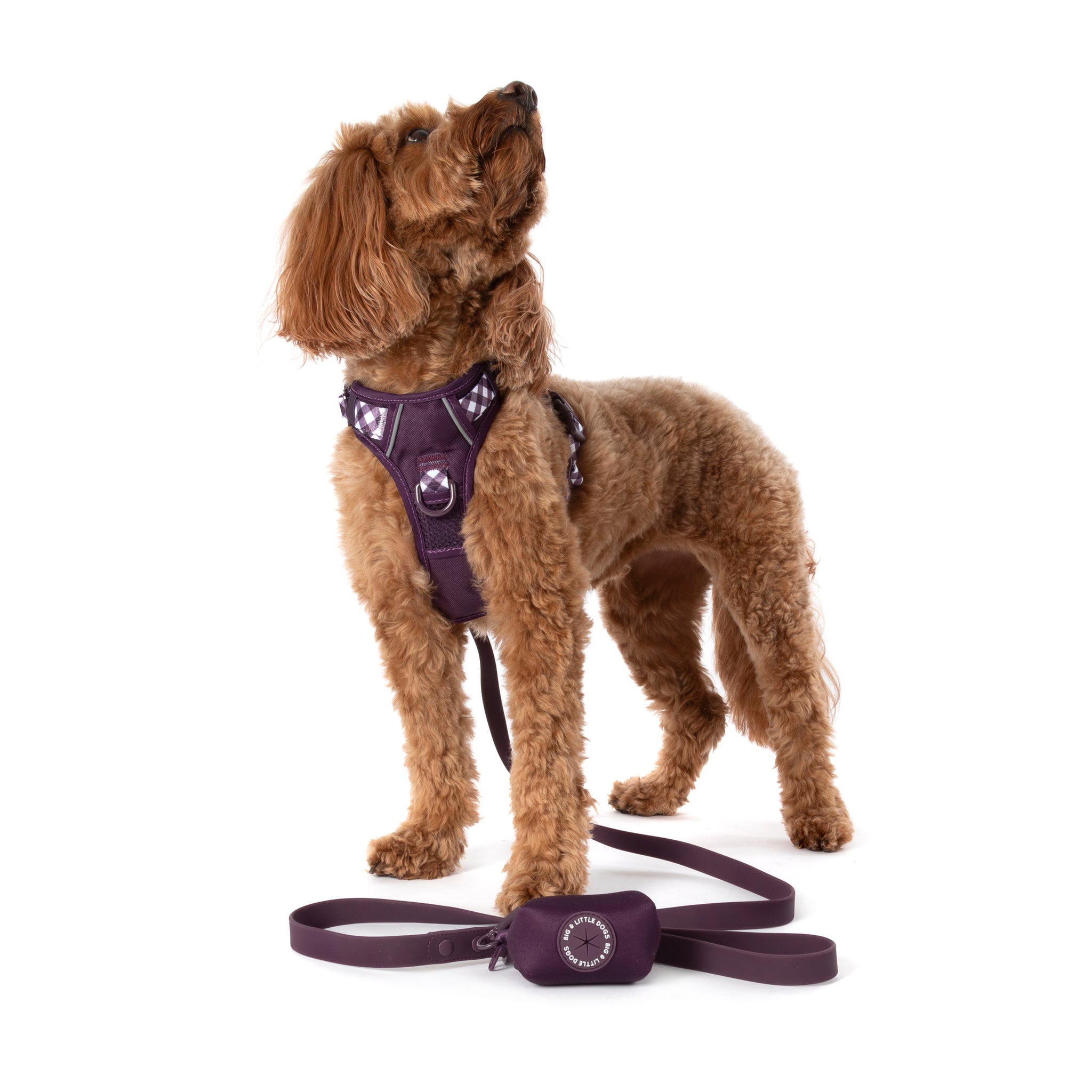DOG POOP BAG HOLDER: Plum