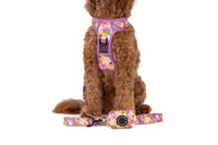 DOG POOP BAG HOLDER: Spring Fling