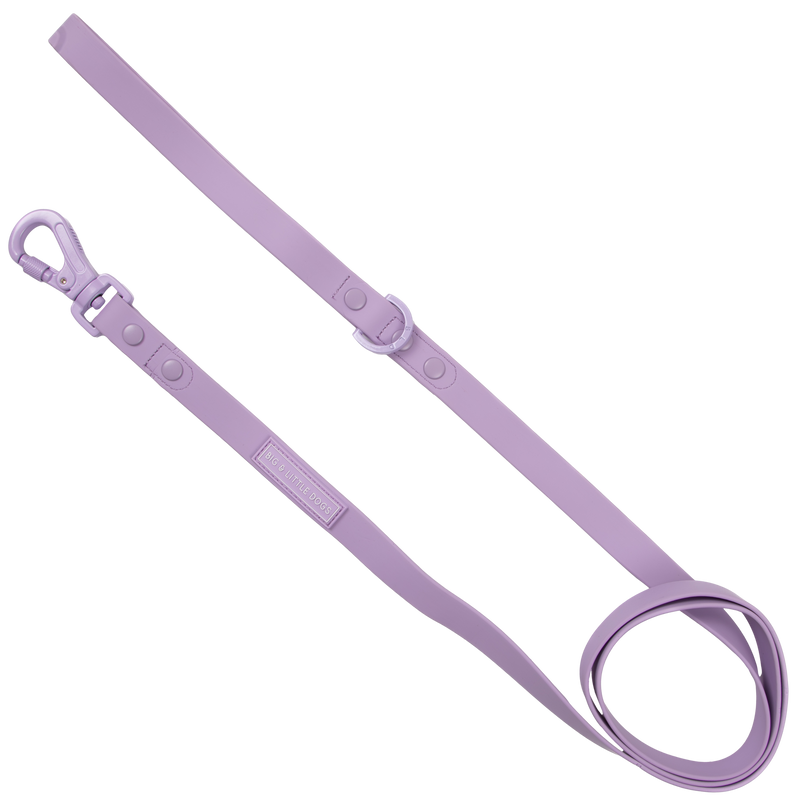 DOG WATERPROOF LEASH: Purple
