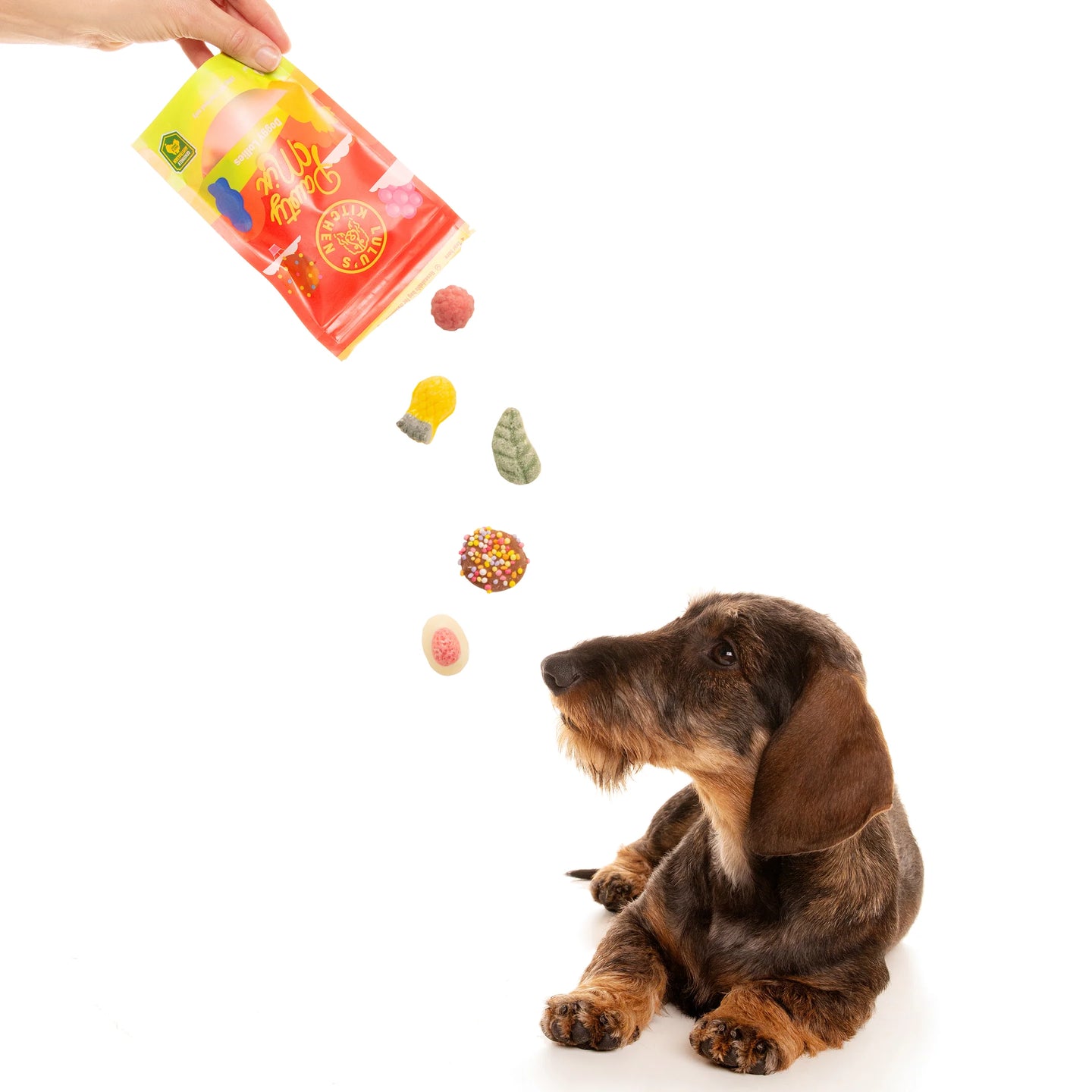 DOG TREATS | Rover Pet Products: Pawty Mix
