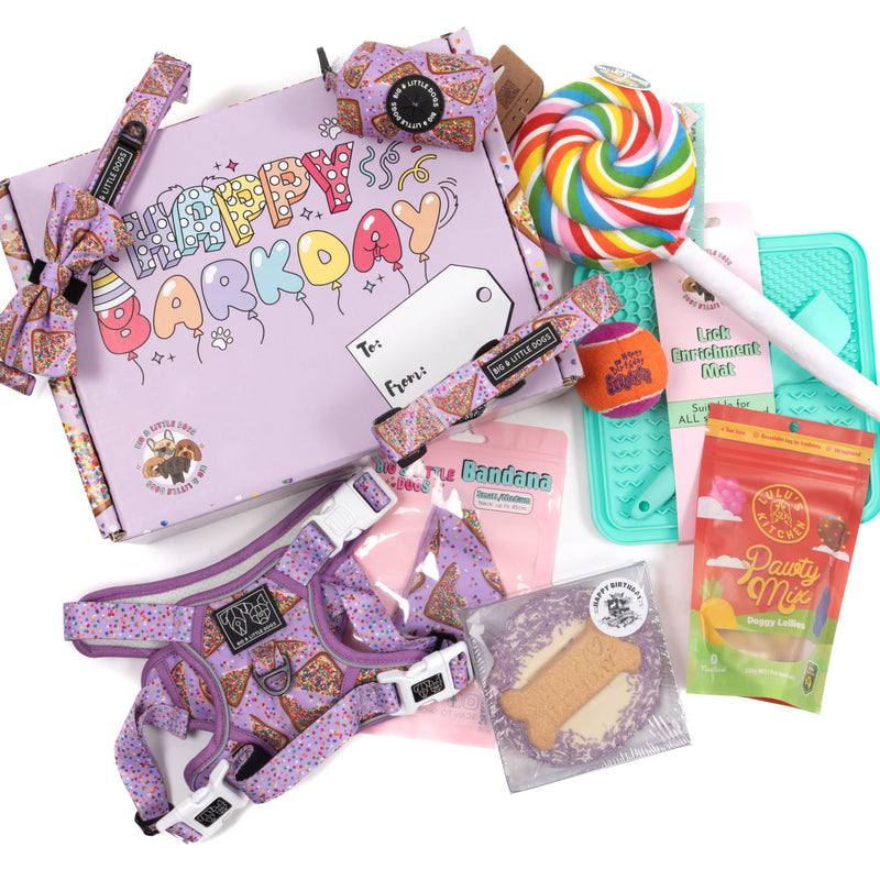 BIRTHDAY EXTRAVAGANZA BOX: "Purple Fairy Bread" Harness & Collar