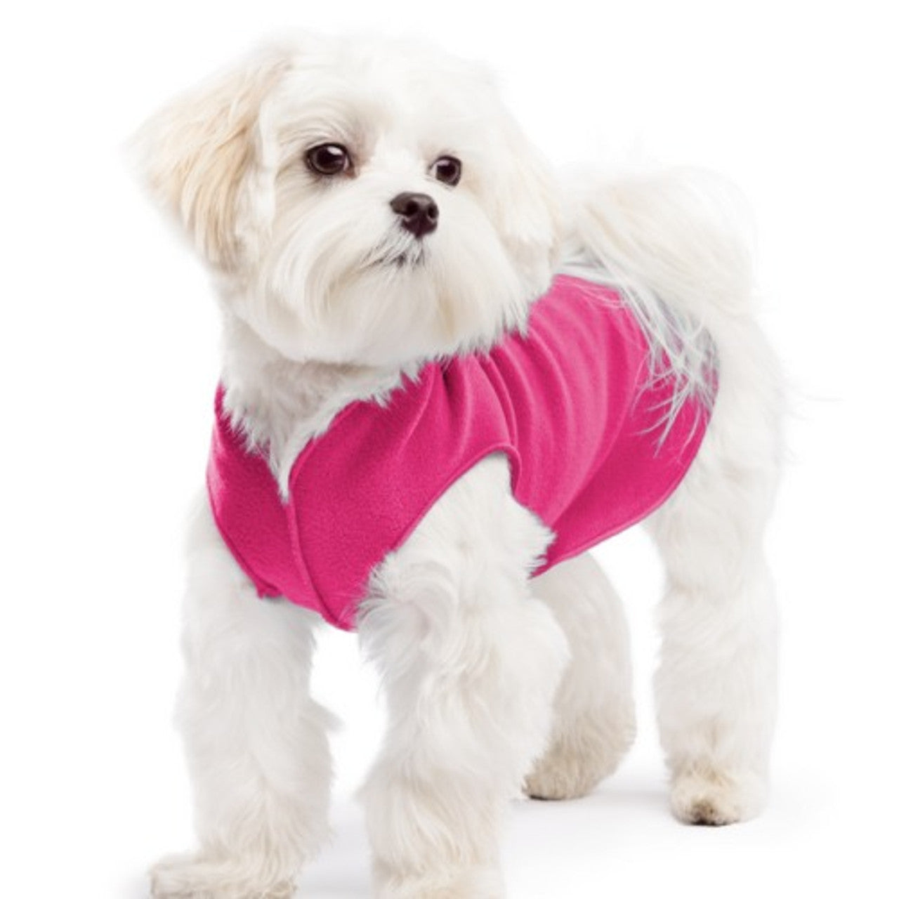 DOG STRETCH FLEECE | Goldpaw: Fuchsia