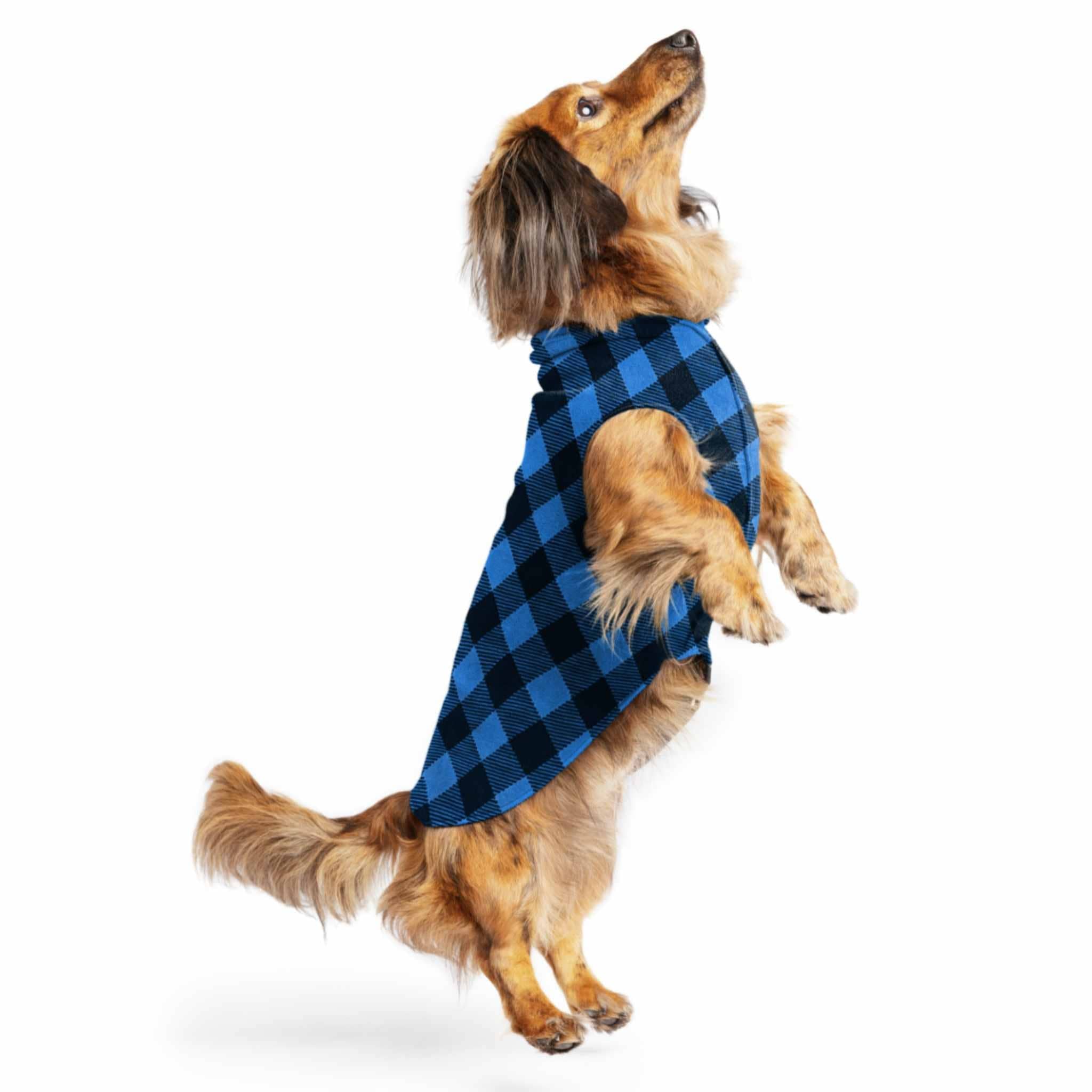 DOG STRETCH FLEECE | Goldpaw: Cobalt Buffalo Plaid