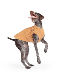 DOG STRETCH FLEECE | Goldpaw: Chipmunk