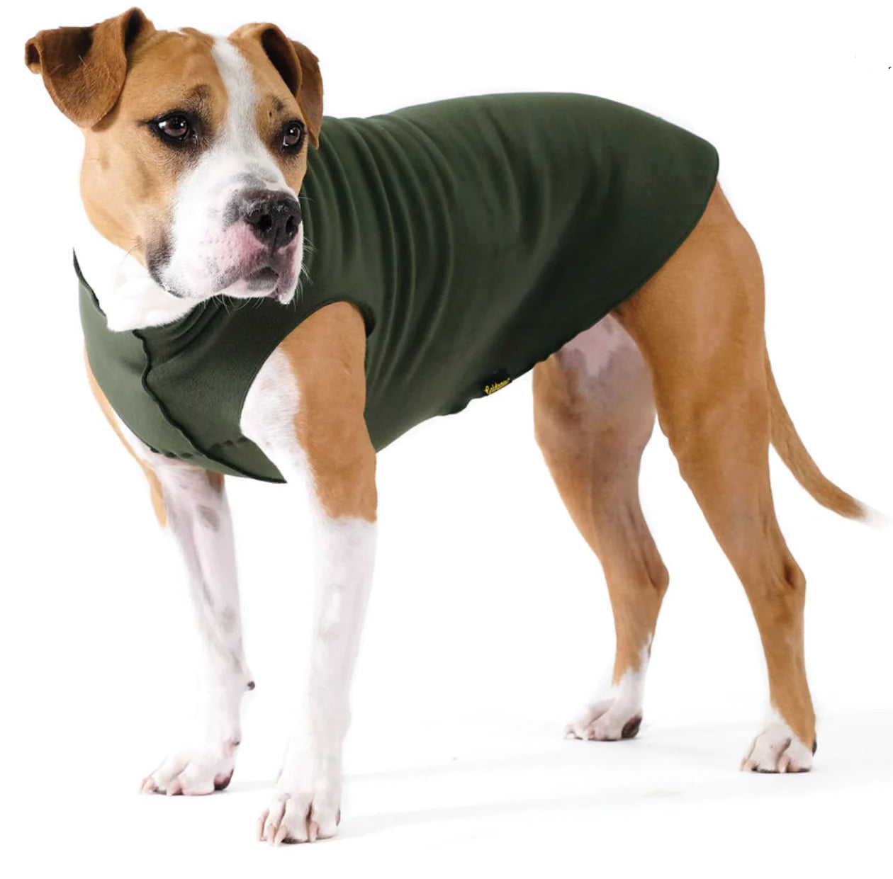 DOG STRETCH FLEECE | Goldpaw: Hunter Green