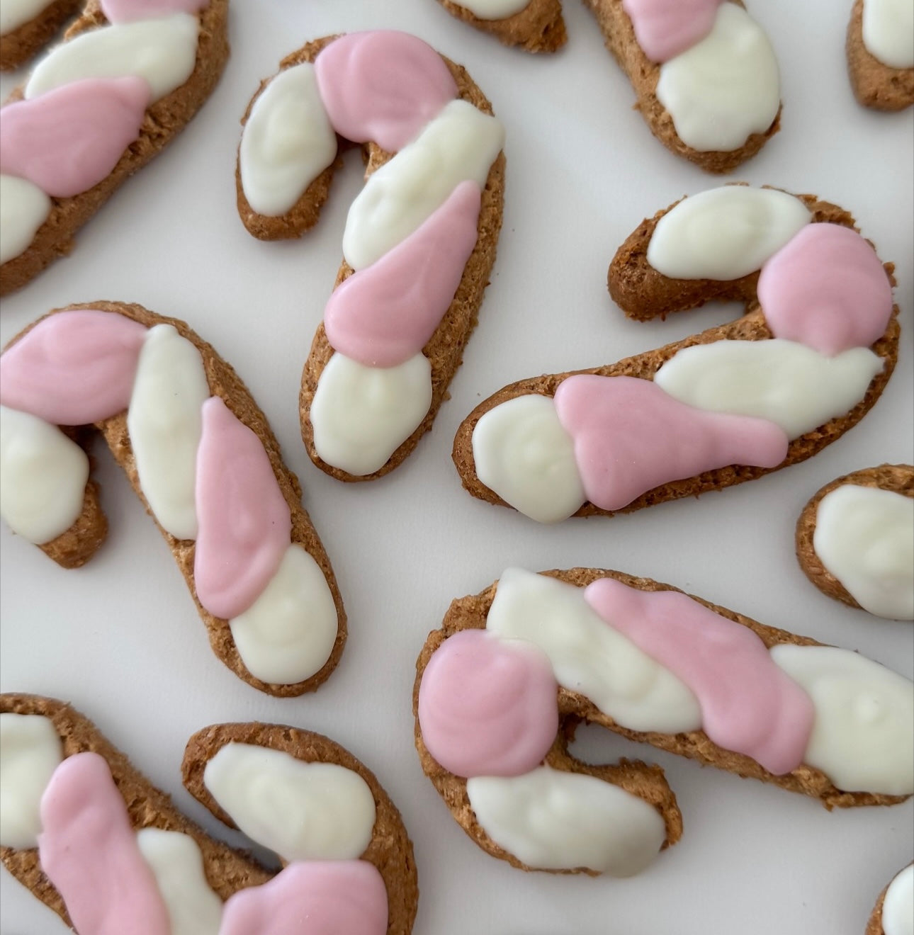 DOG TREATS | The Organic Dog Co: XL Candy Cane (1 Pce)