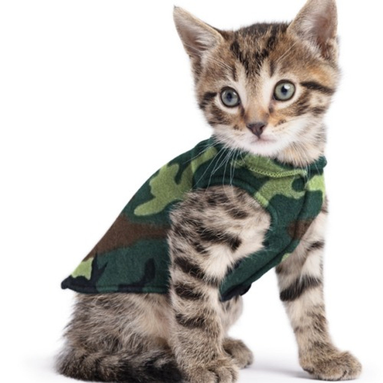 DOG STRETCH FLEECE | Goldpaw: Camo