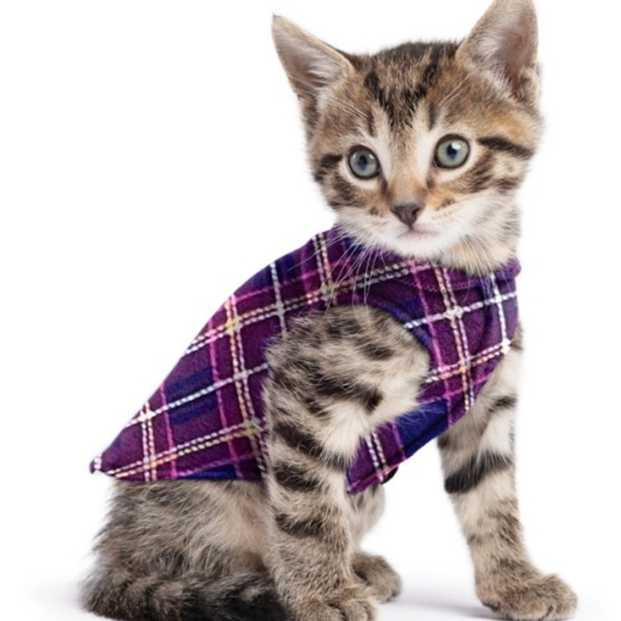 DOG STRETCH FLEECE | Goldpaw: Mulberry Plaid