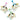 MULTIPET: Lamp Chop Birthday (Large) (Various Colours)