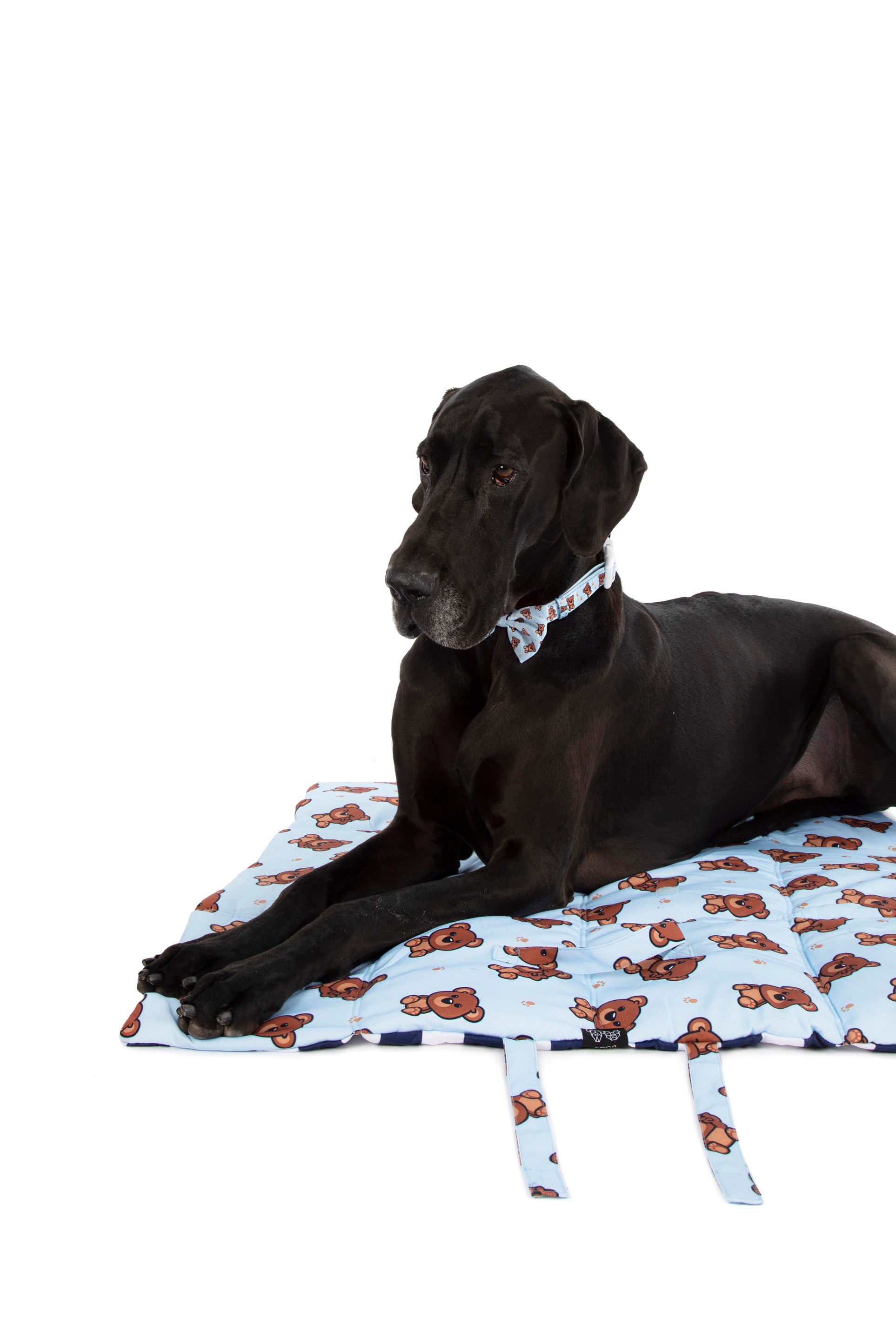 ON-THE-GO PET MAT: Cuddle Club