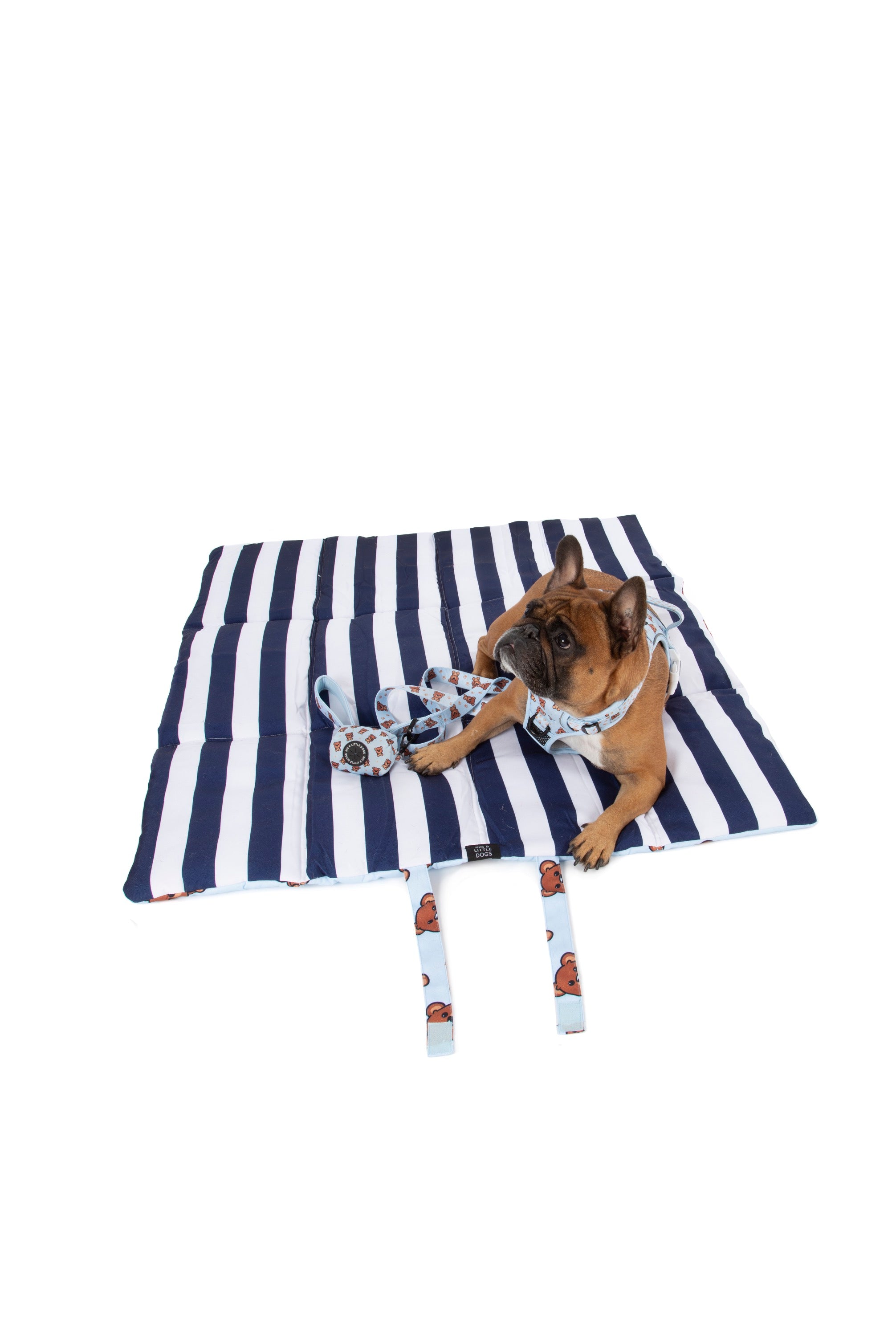 ON-THE-GO PET MAT: Cuddle Club