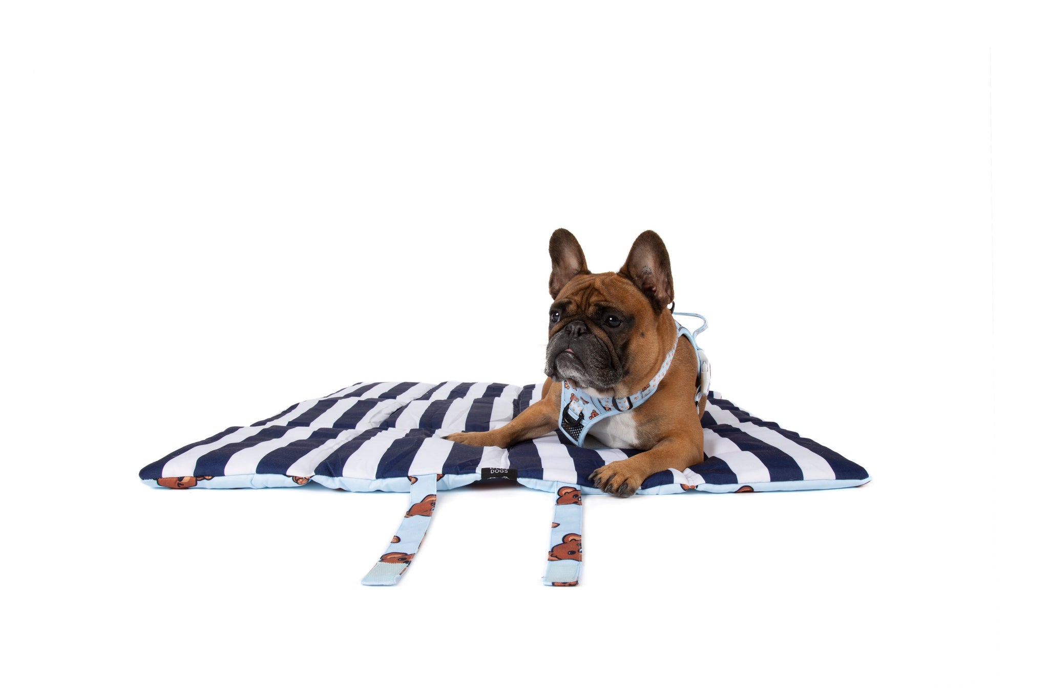 ON-THE-GO PET MAT: Cuddle Club
