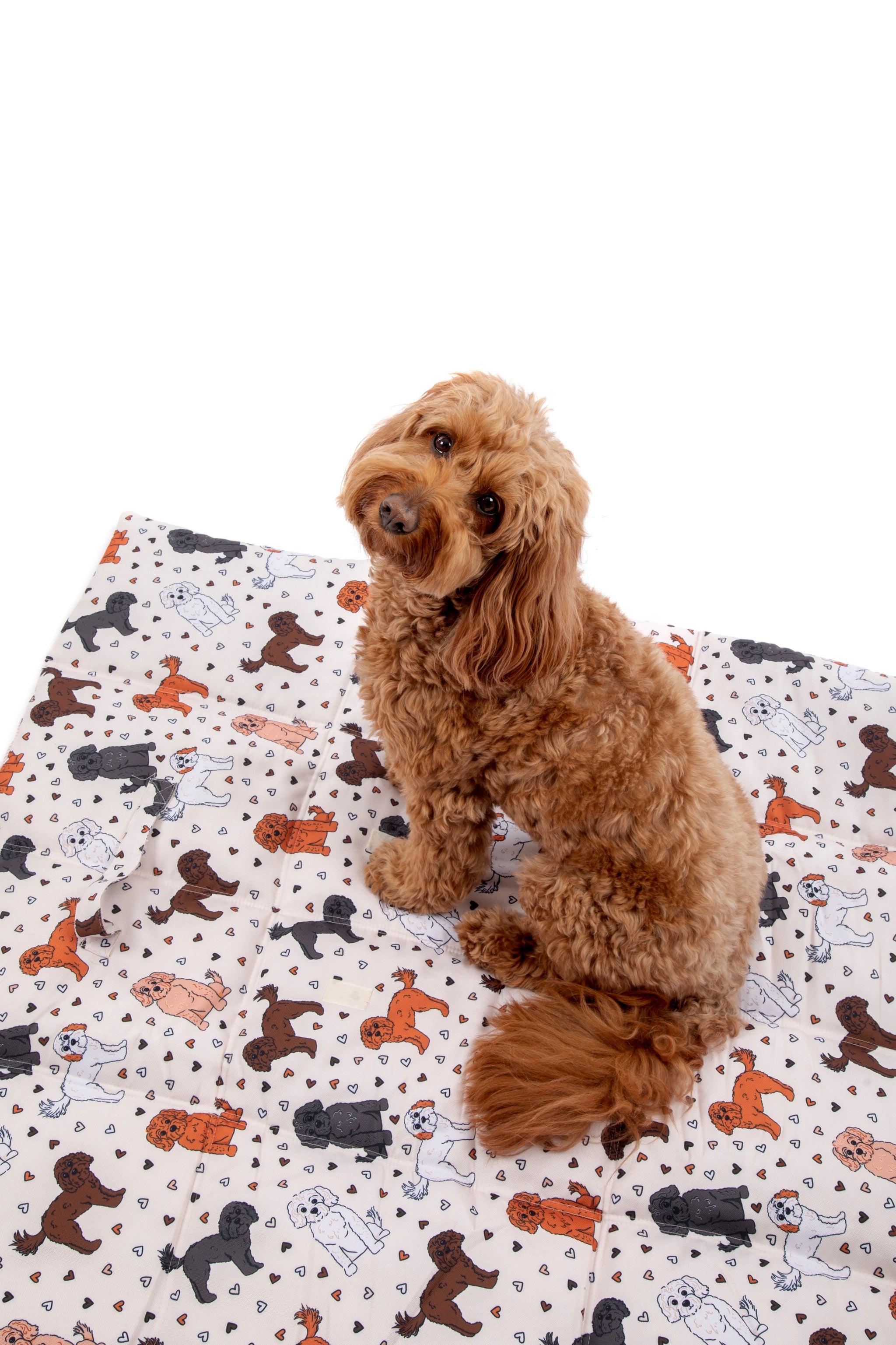 ON-THE-GO PET MAT: Oodles of Love