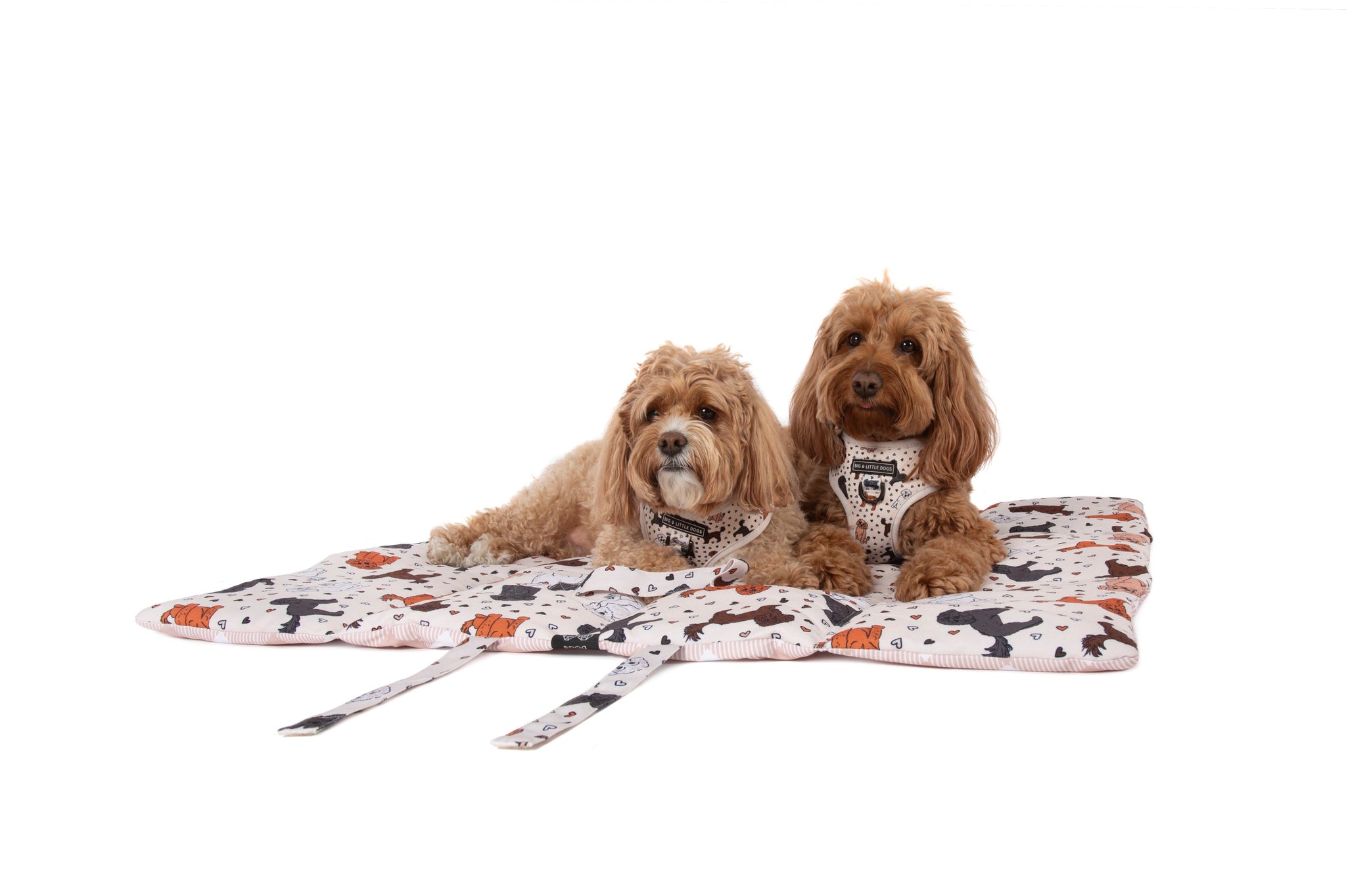 ON-THE-GO PET MAT: Oodles of Love