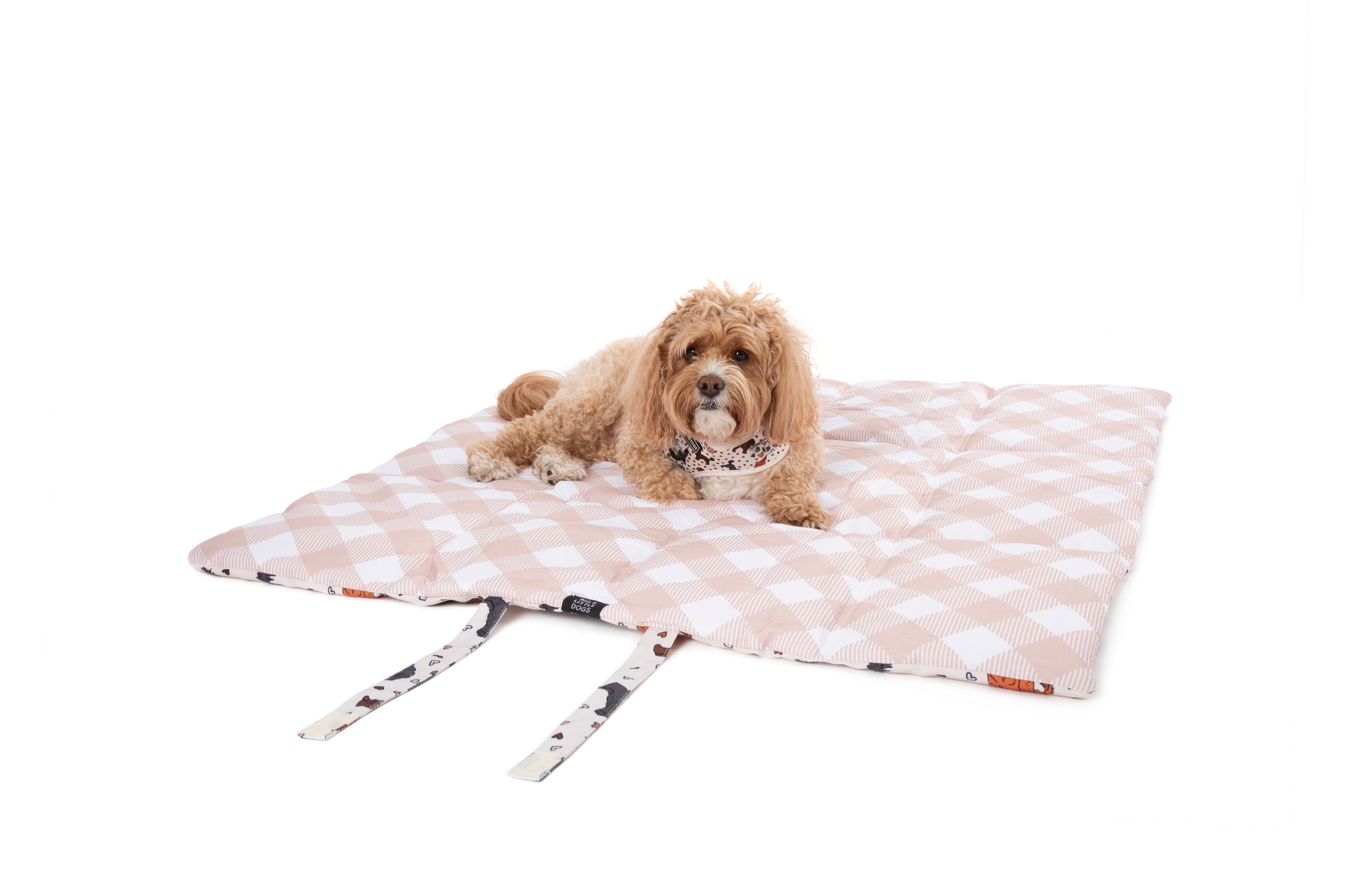 ON-THE-GO PET MAT: Oodles of Love