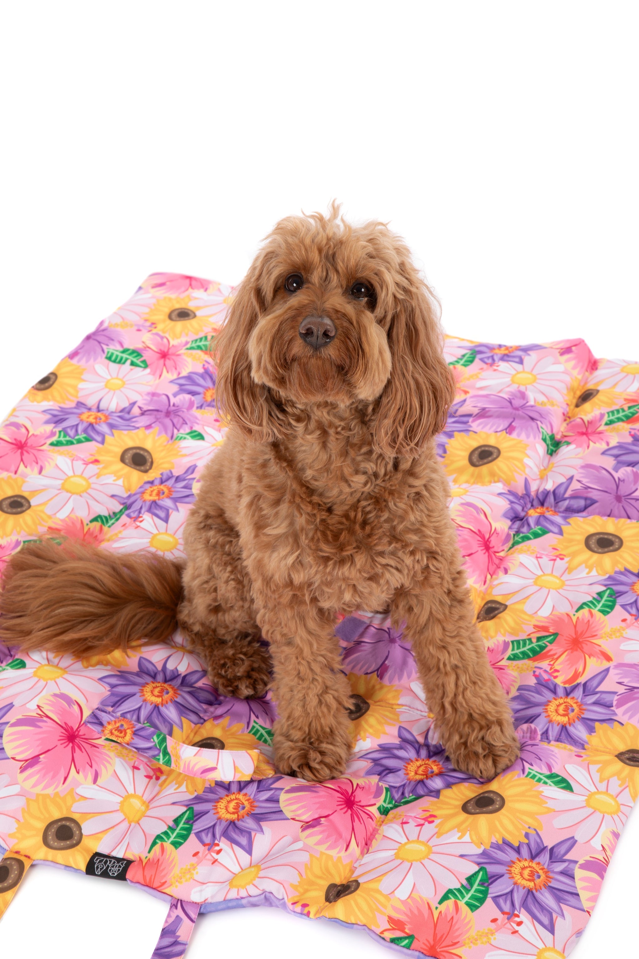 ON-THE-GO PET MAT: Spring Fling