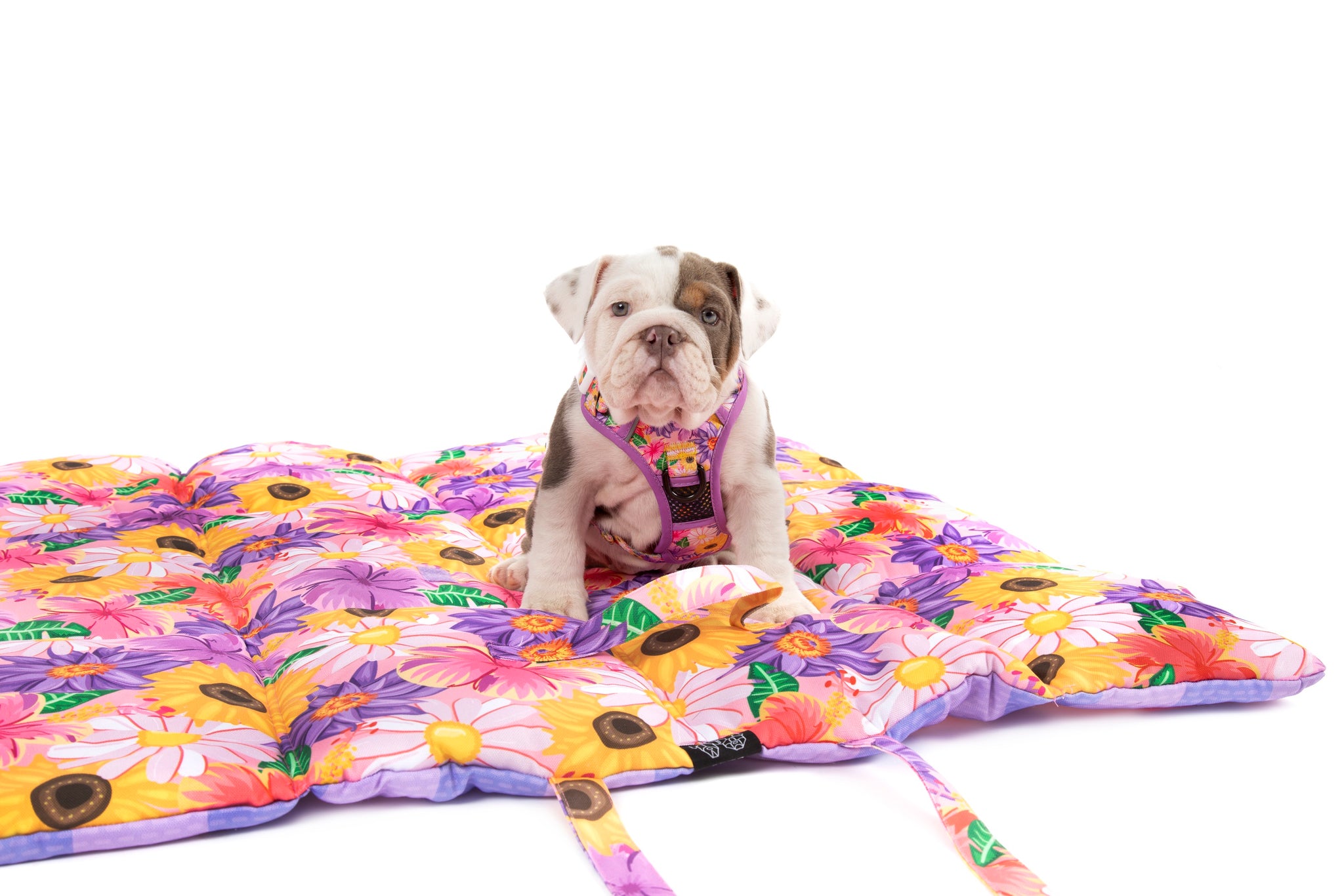 ON-THE-GO PET MAT: Spring Fling