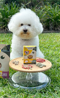 DOG TREATS | Golden Bone Bakery: Party Mix Dog Treats 40g