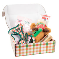 CHRISTMAS EXTRAVAGANZA BOX: "Candy Lane Plaid" Step-In Harness & Collar