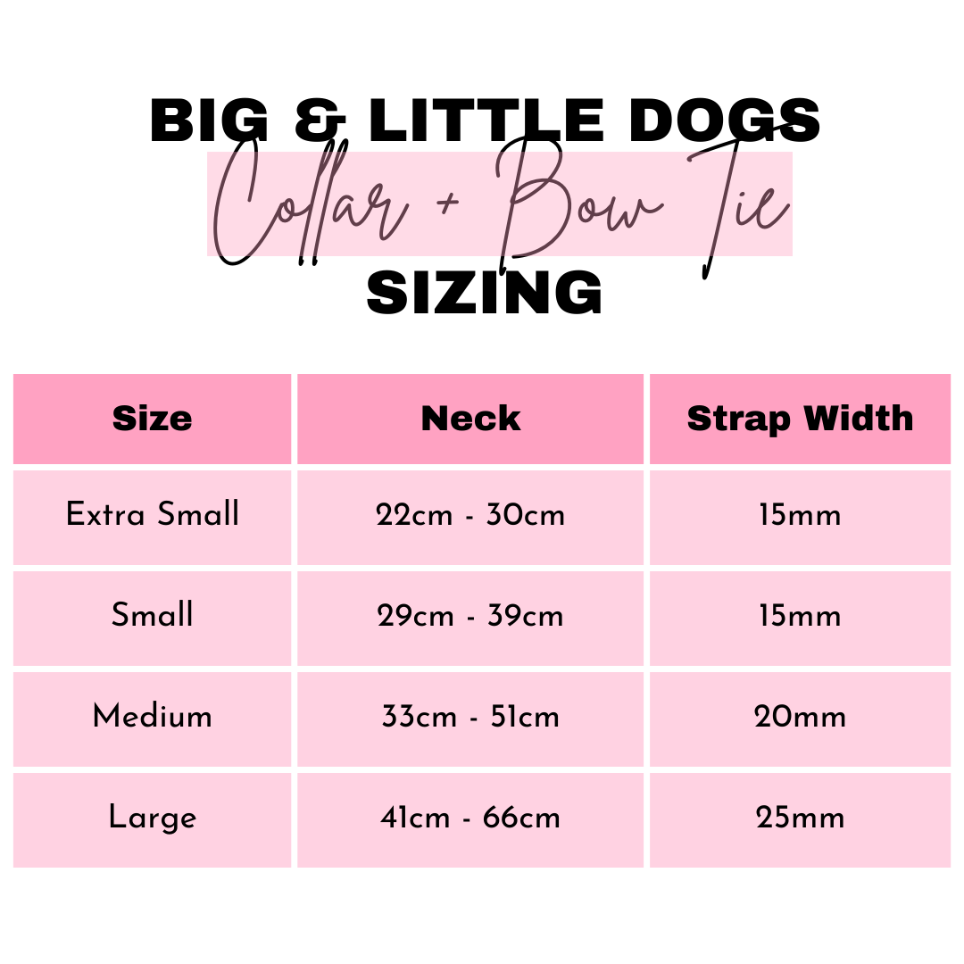 DOG COLLAR & BOW TIE: Sausage Sizzle {FINAL SALE}
