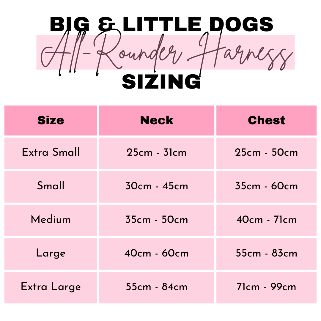 THE ALL-ROUNDER DOG HARNESS: Aussie Faves {FINAL SALE}