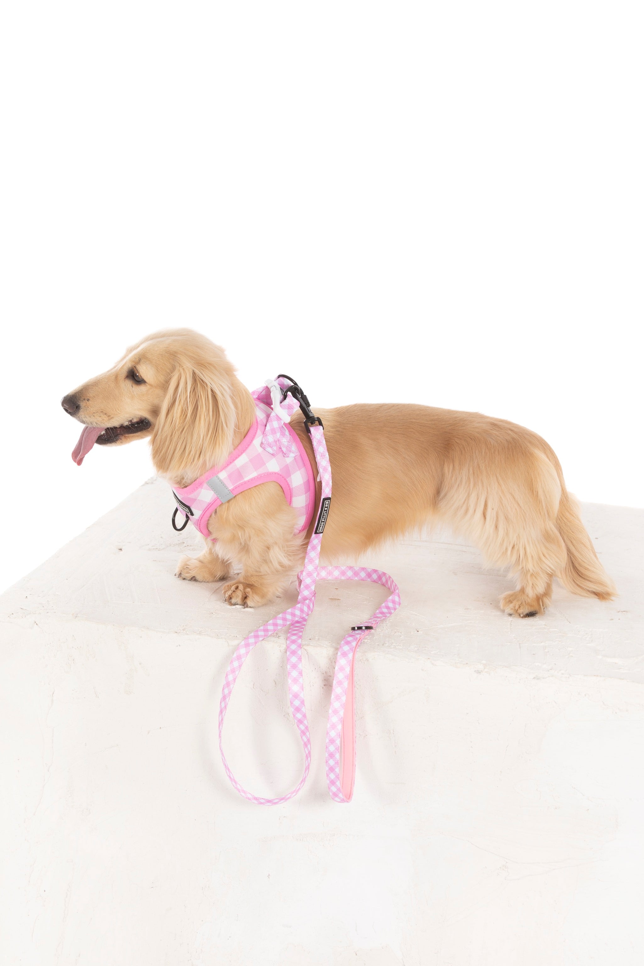 STEP-IN DOG HARNESS: Pink Milk Gingham