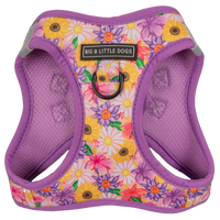 STEP-IN DOG HARNESS: Spring Fling