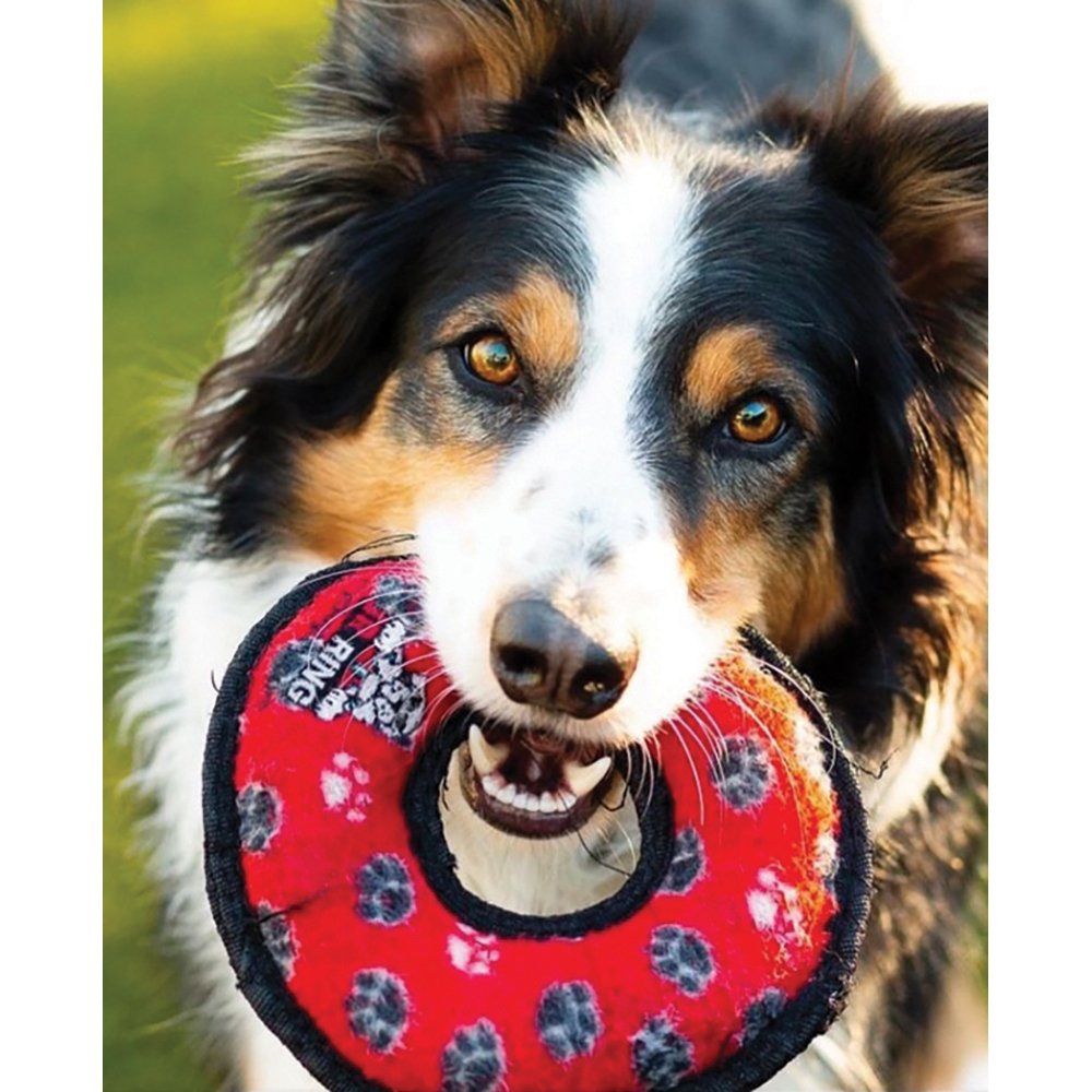 Tuffy: JR's Ring Red Paw Print
