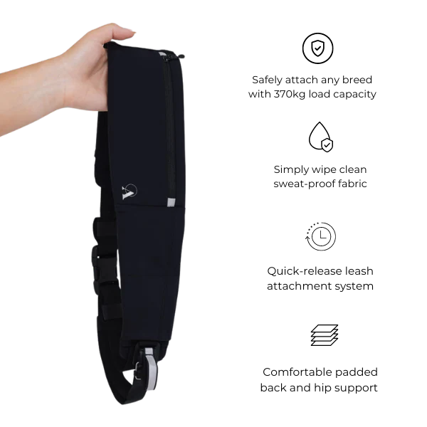 ATTACHD | The Attachdᵀᴹ Hands-Free Dog Belt | Plus (95-170cm)