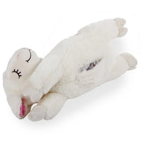 All For Paws: Little Buddy Heat Beat Sheep