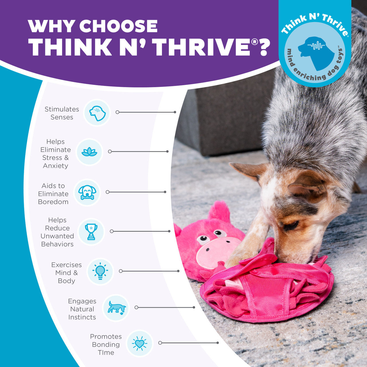 Outward Hound: Snuffle Palz - Pig