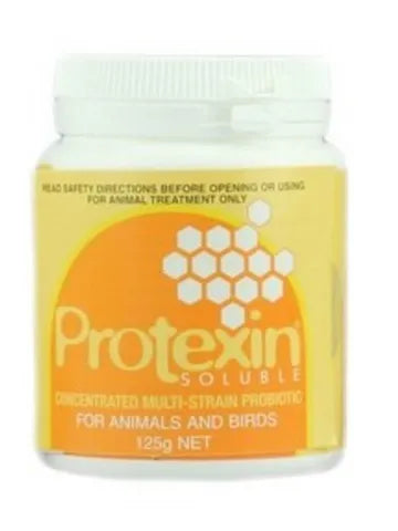 ProN8ure: Animal Health Soluble Powder 125g Orange (PROTEXIN)