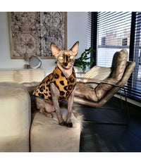 DOG STRETCH FLEECE | Goldpaw: Leopard