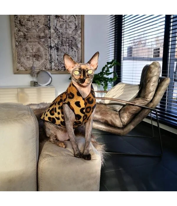 DOG STRETCH FLEECE | Goldpaw: Leopard